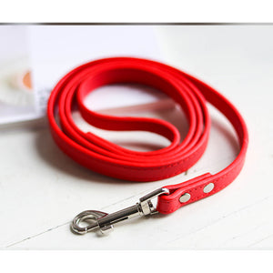 Enhance Your Daily Walks with Our Pet Leash Collar Set