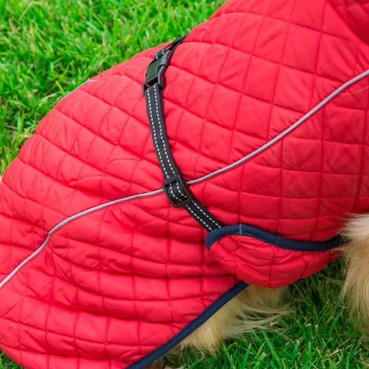 Why Your Pet Deserves the Adjustable Warm Pet Cotton Jacket