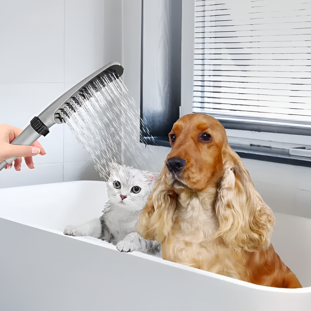 Gentle Grooming Tools for Clean Happy Pets