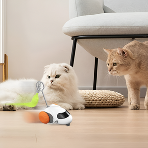 Keeping Pets Happy with Fun Toys