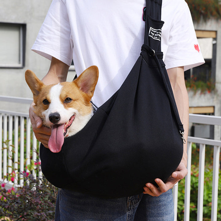 The Ultimate Pet Travel Companion