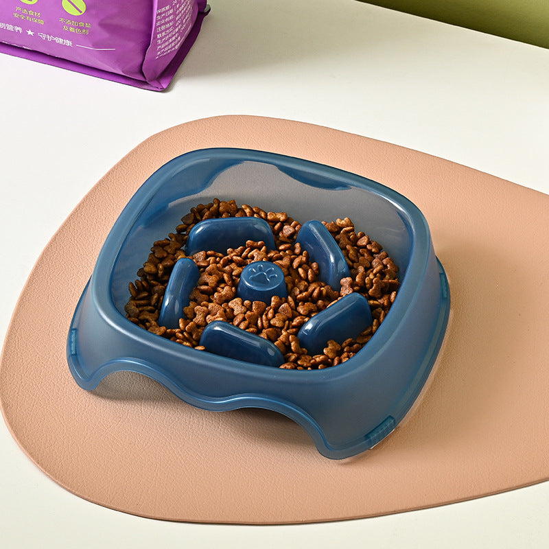 Pet Slow Feeding Bowl Anti Choking Water Feeder