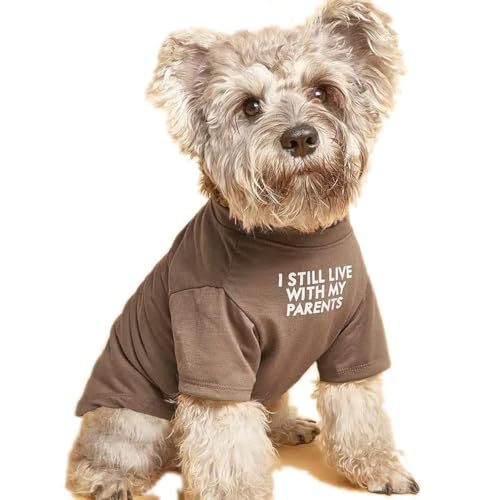 Round Neck Pet T Shirt Casual Clothing
