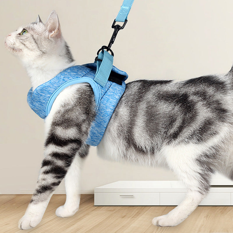 Breathable Lightweight Lace Pet Chest Strap Leash
