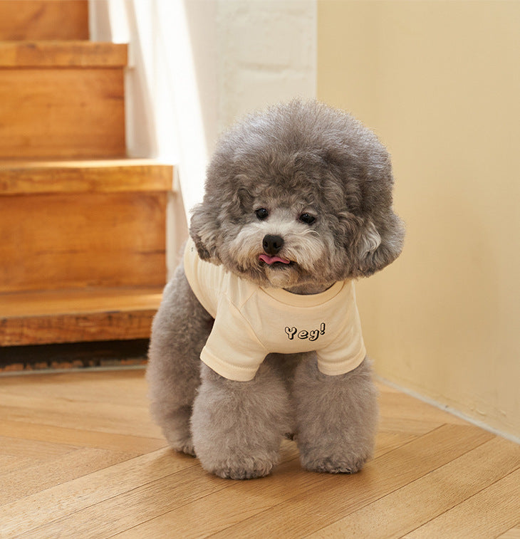 Korean Style Cotton Short Sleeve Printed Pet T Shirt