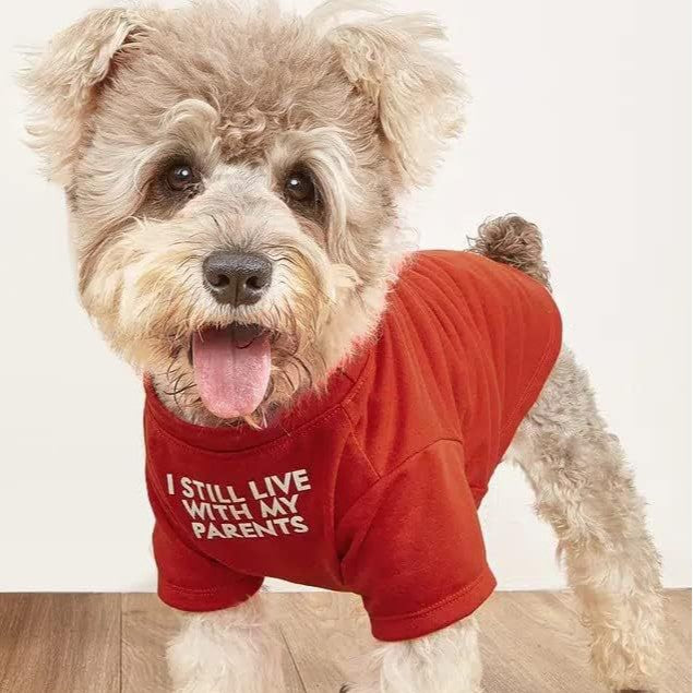 Round Neck Pet T Shirt Casual Clothing