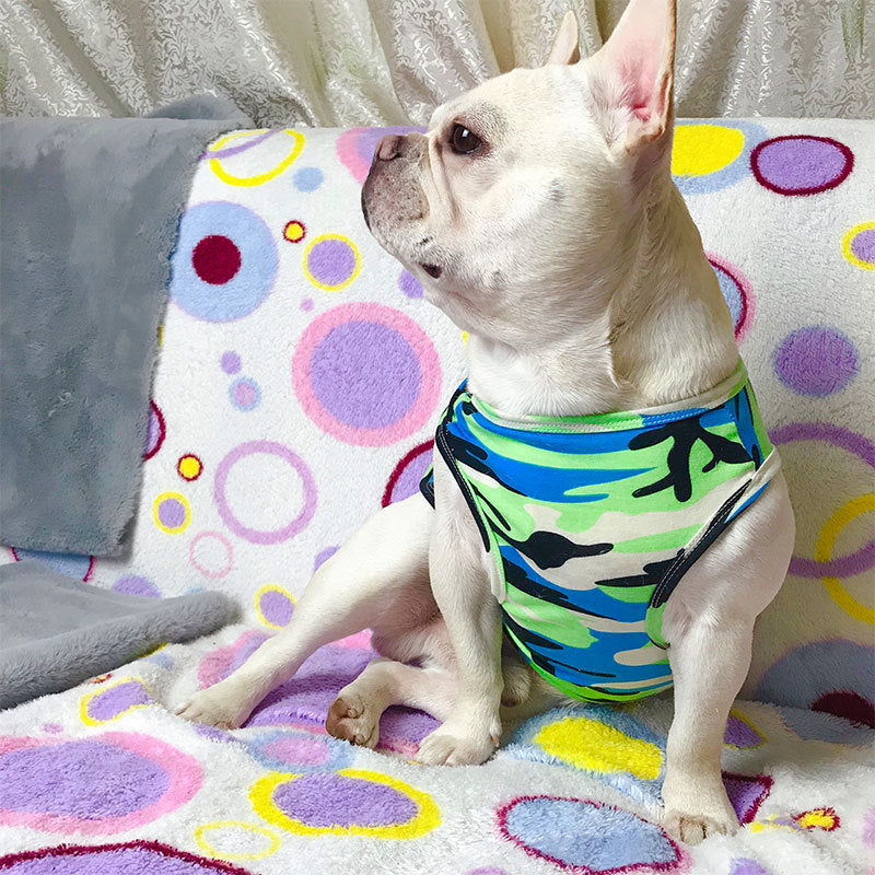 Fashionable Pet Summer T-Shirt Lightweight Casual Wear