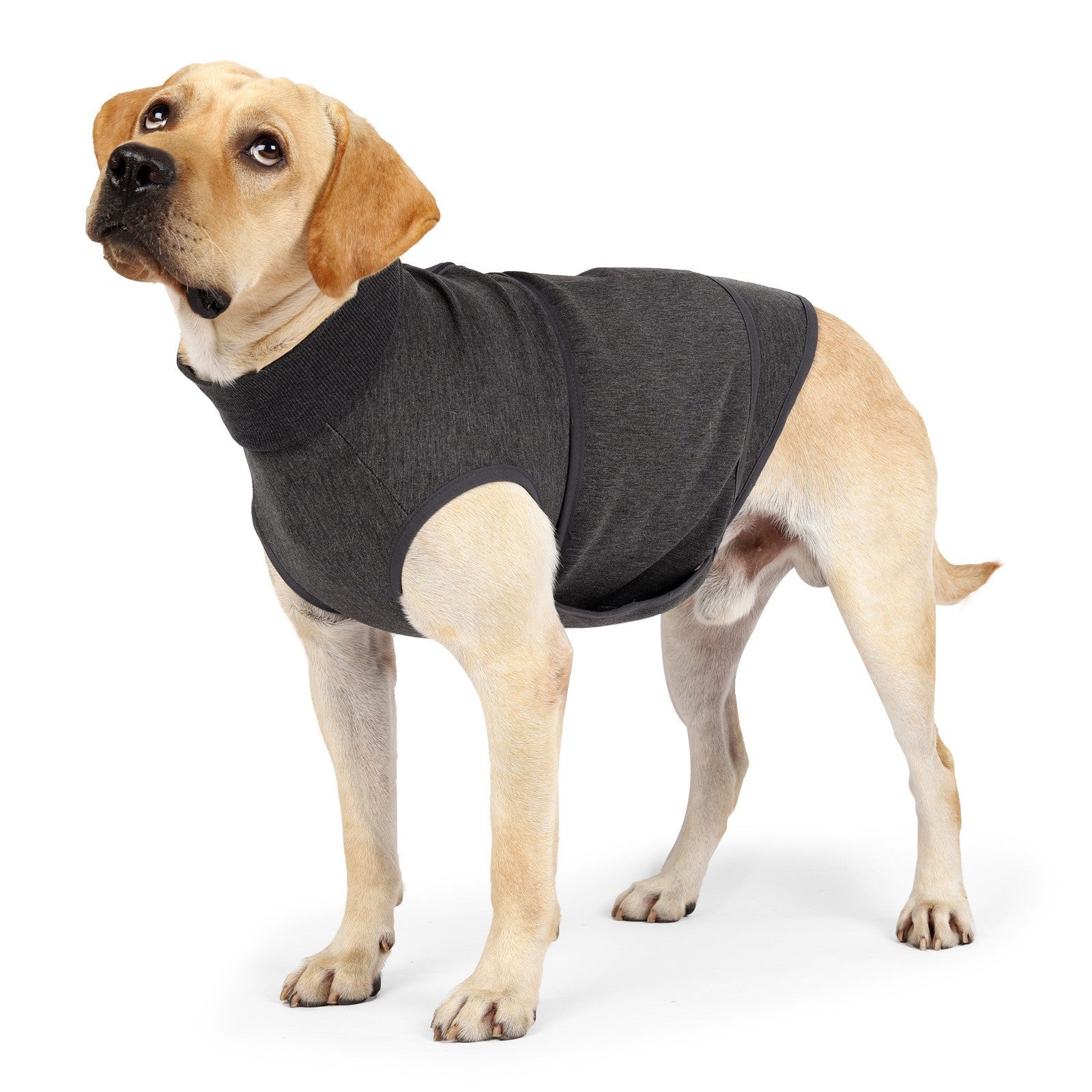 Polyester Emotional Comfort Cotton Double Pet Jacket