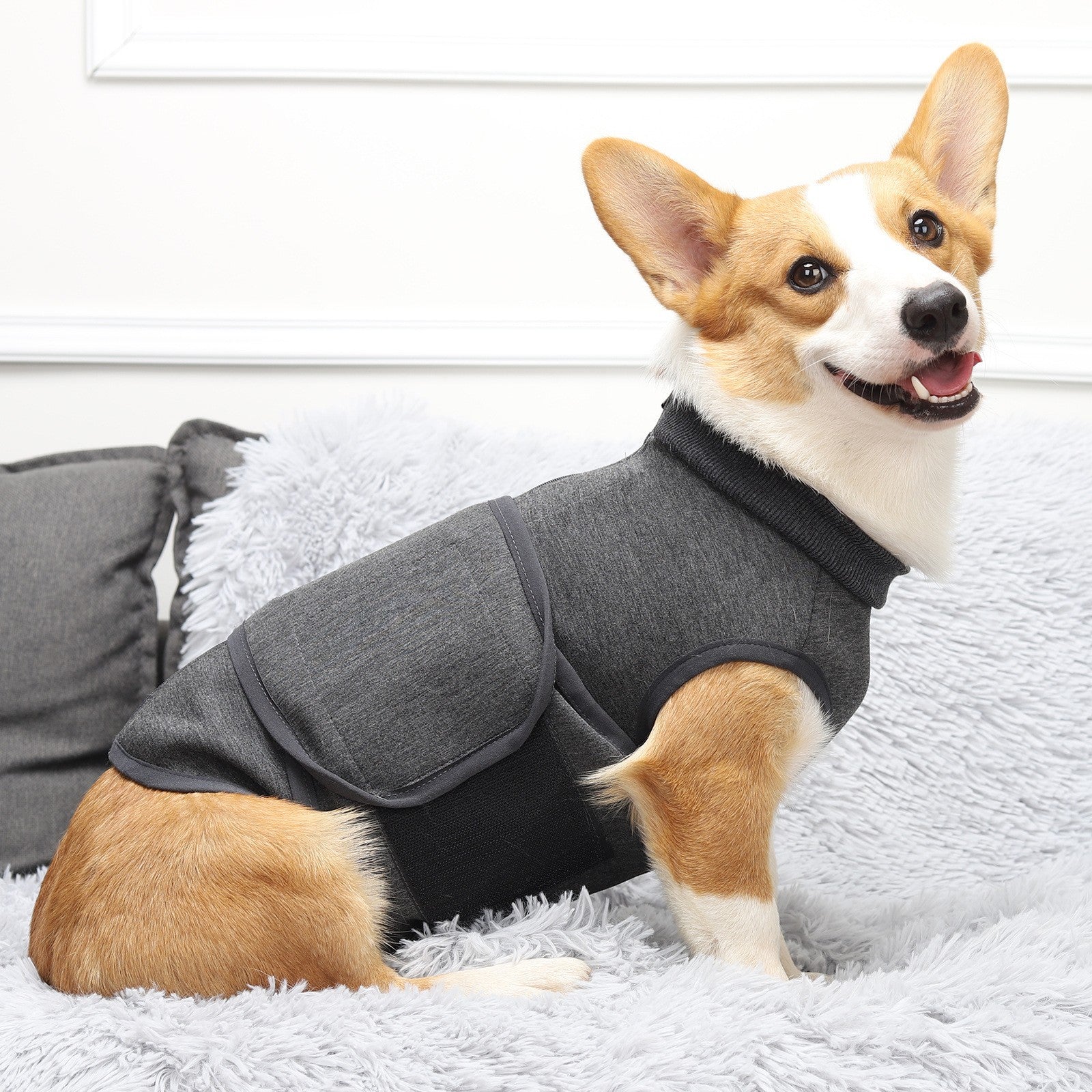 Polyester Emotional Comfort Cotton Double Pet Jacket