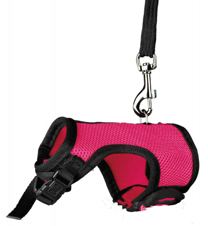Small Adjustable Pet Leash For Comfortable Daily Walks