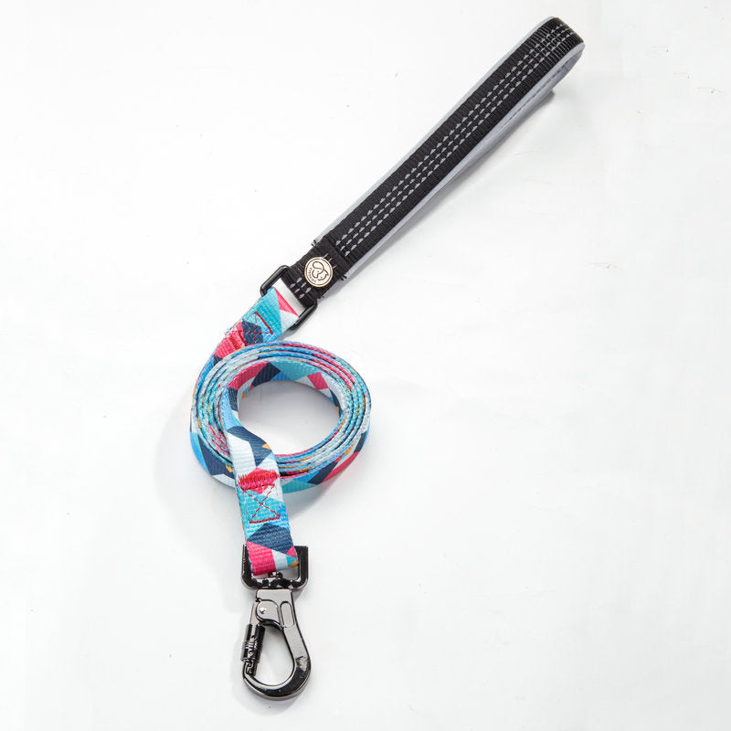 Premium Pet Walking Leash For Safe Daily Walks
