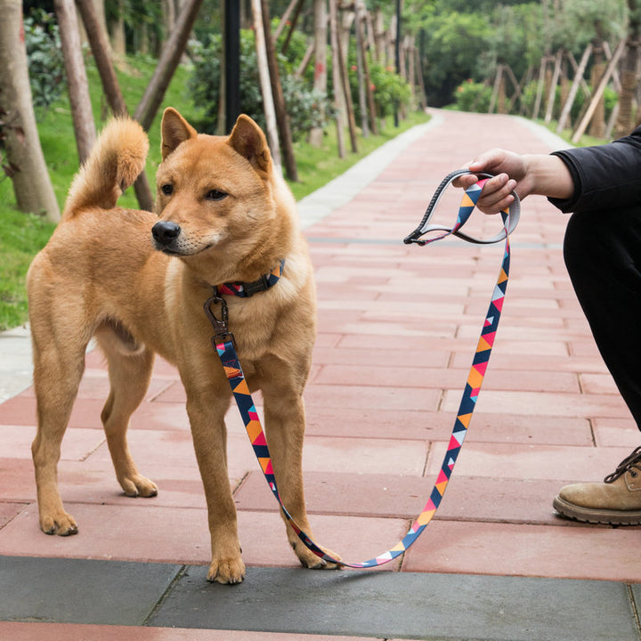 Premium Pet Walking Leash For Safe Daily Walks