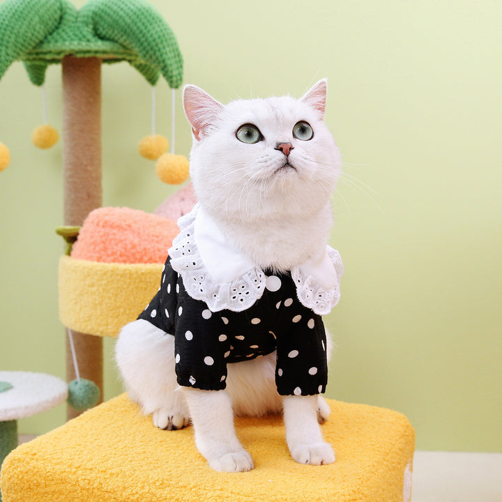 Blue Pet Ragdoll Style T Shirt Clothing