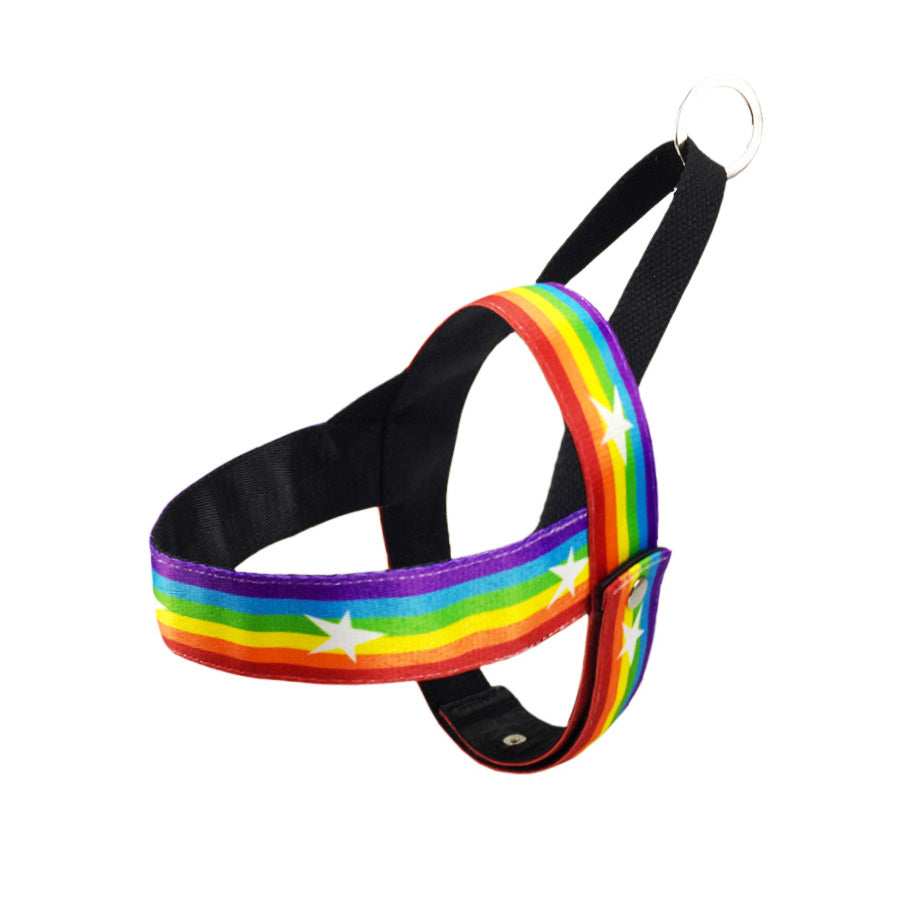 Rainbow Cool Pet Chain Leash For Stylish Walks