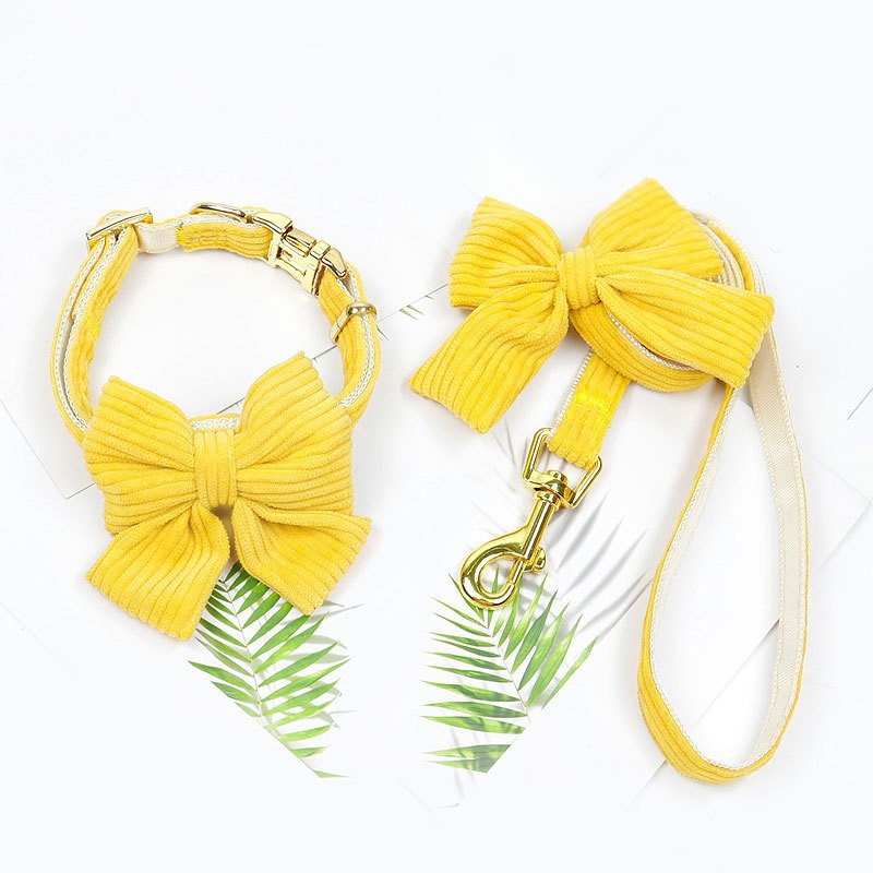 Outdoor Pet Harness And Leash Set For Walking Control