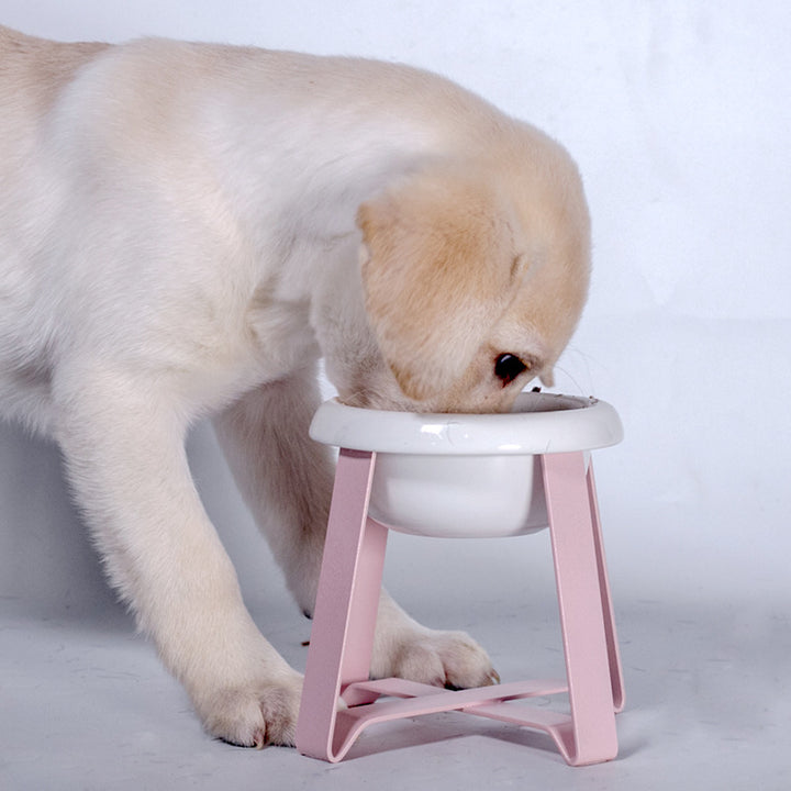 Antislip Double Bowl Pet Feeder With Iron Stand