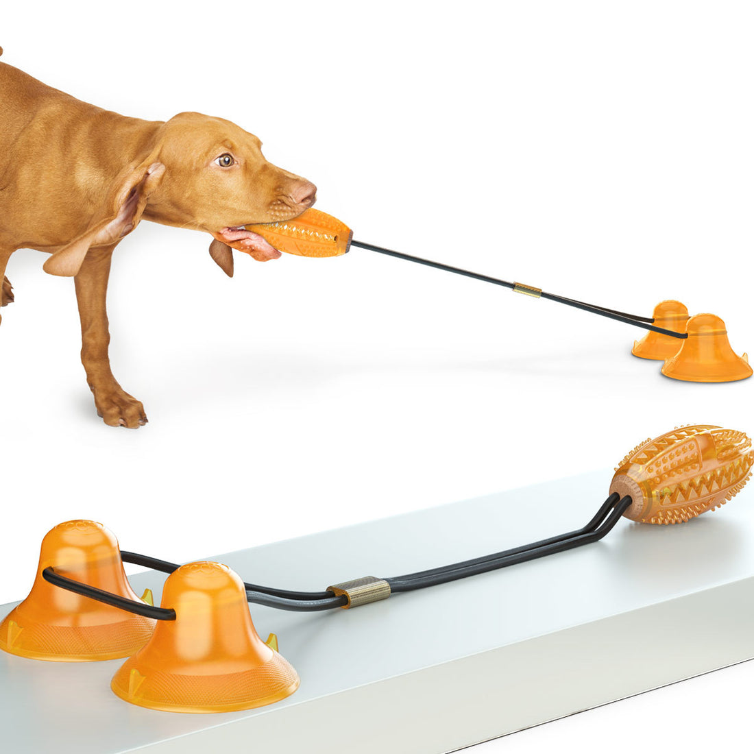 Double Tug Rope Ball Suction Pet Chew Toy