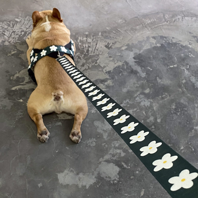 Vest Style Leash For Large Adult Pet