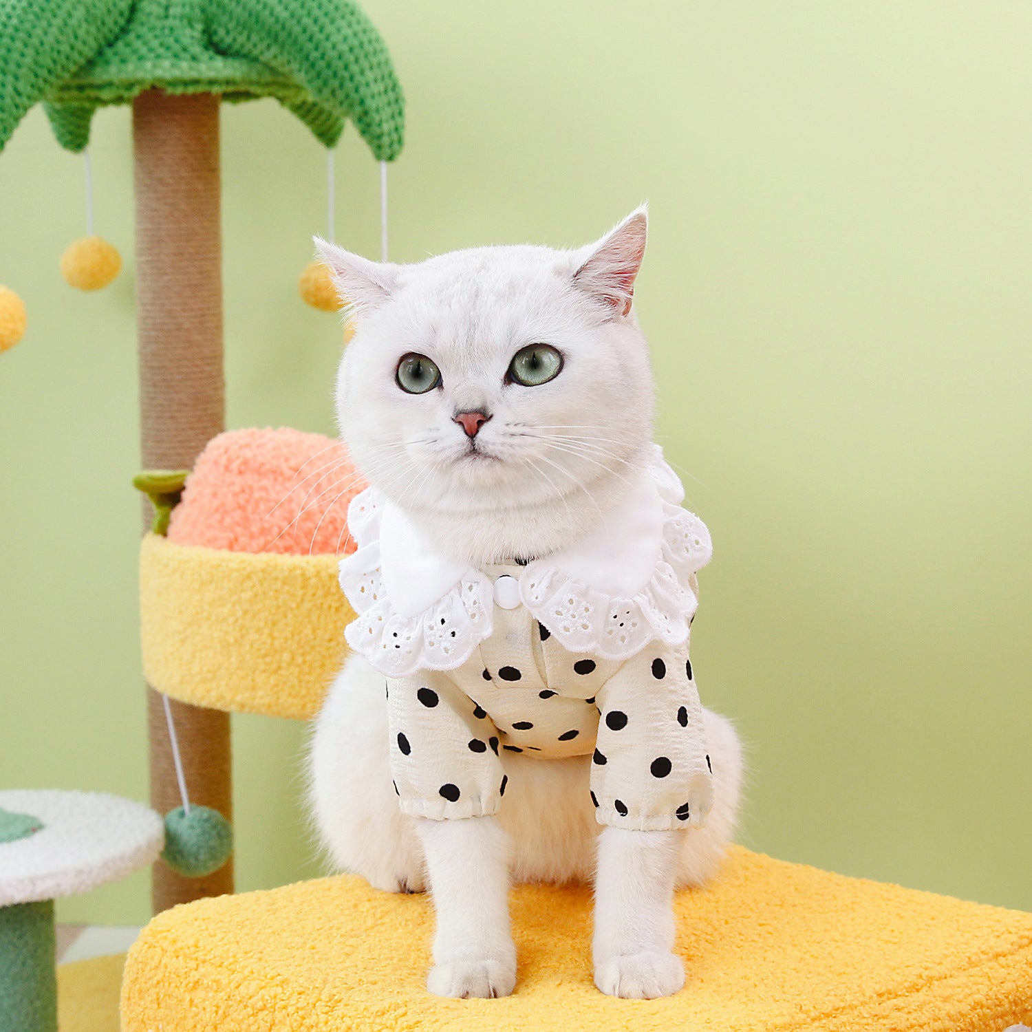 Blue Pet Ragdoll Style T Shirt Clothing