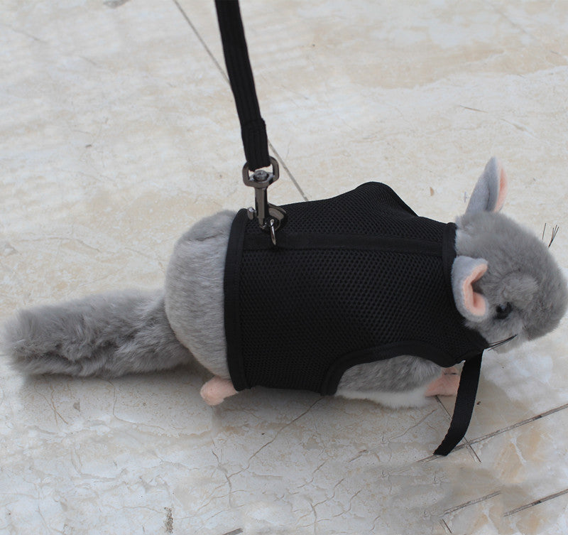 Small Adjustable Pet Leash For Comfortable Daily Walks