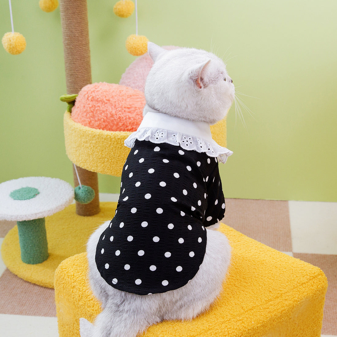 Blue Pet Ragdoll Style T Shirt Clothing