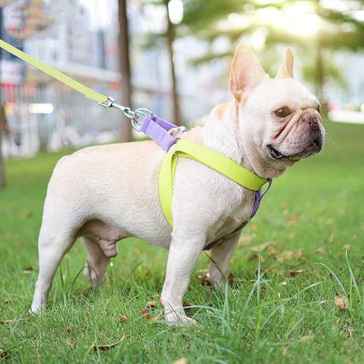 Vest Style Pet Drawstring Leash Walking Harness Strap