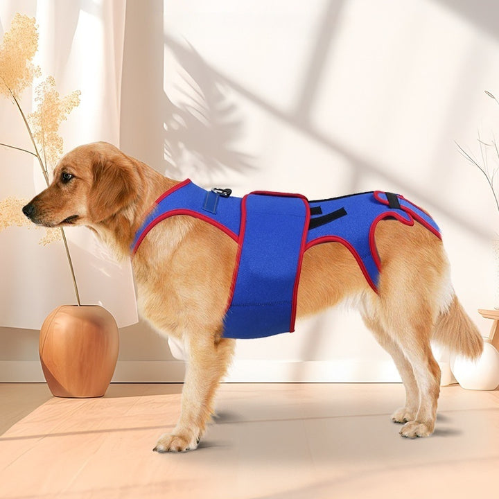 Pet Spine Support Jacket Posture Correction Protective Wear