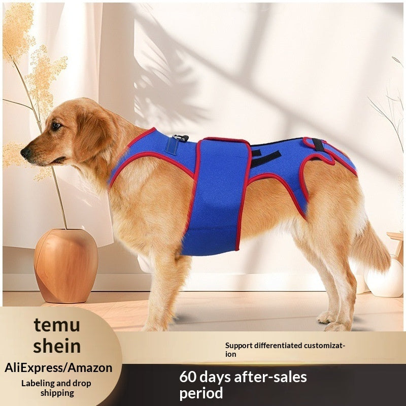 Pet Spine Support Jacket Posture Correction Protective Wear