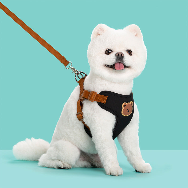 Pet Outing Strap Leash For Daily Walks