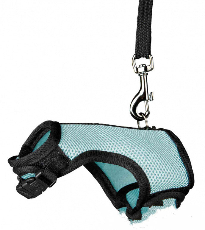 Small Adjustable Pet Leash For Comfortable Daily Walks