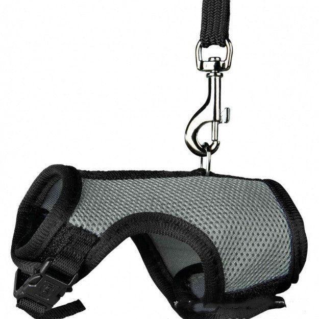 Small Adjustable Pet Leash For Comfortable Daily Walks