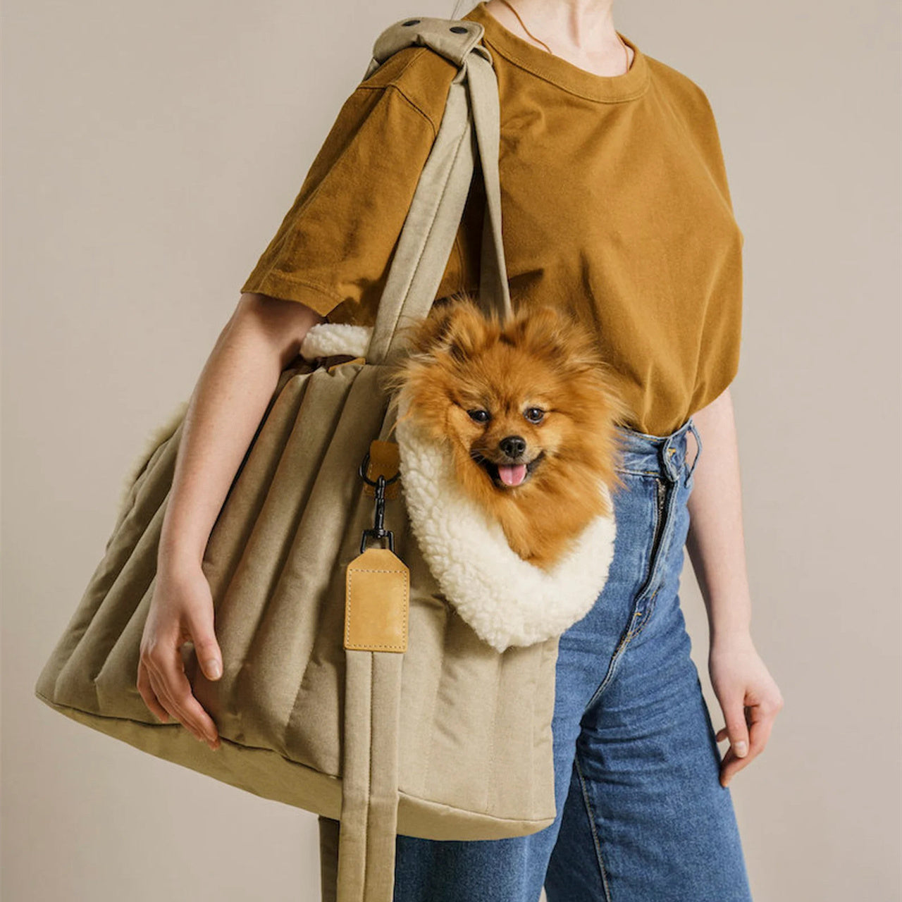 Lightweight Waterproof Pet Handbag Carrier Travel Bag
