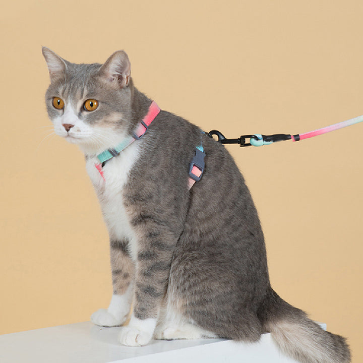 Fashion Pet Leash To Prevent Escaping And Breaking Free
