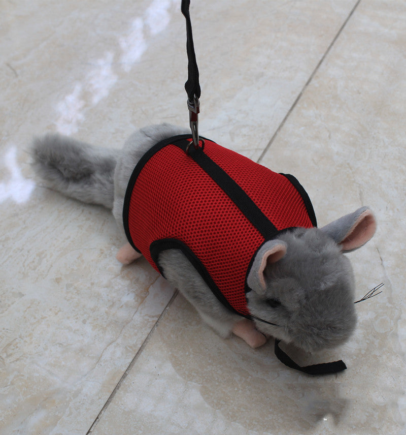 Small Adjustable Pet Leash For Comfortable Daily Walks