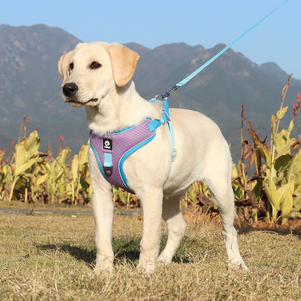 Adjustable Breathable Pet Harness With Leash For Walking