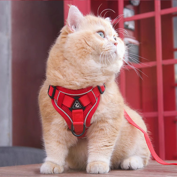 New Pet Harness Vest With Chest Strap And Leash