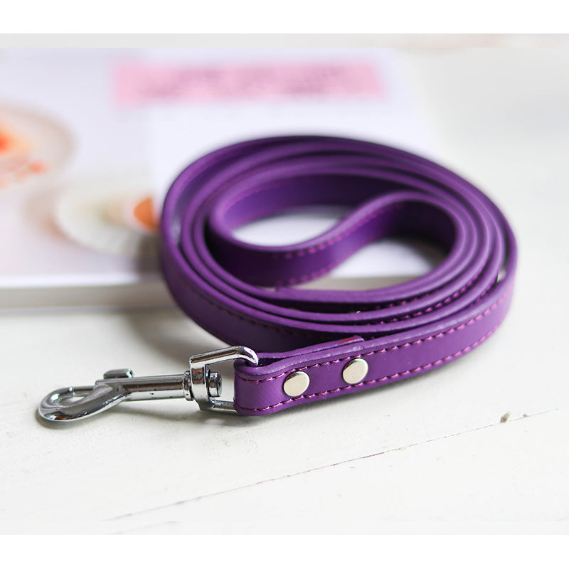 Pet Leash Collar Set For Secure Daily Walks