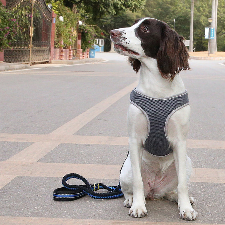 Pet Harness Vest Leash For Strong Control Walks