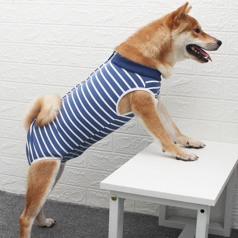 Multicolor Fashion Personality Pet Clothing Outfit