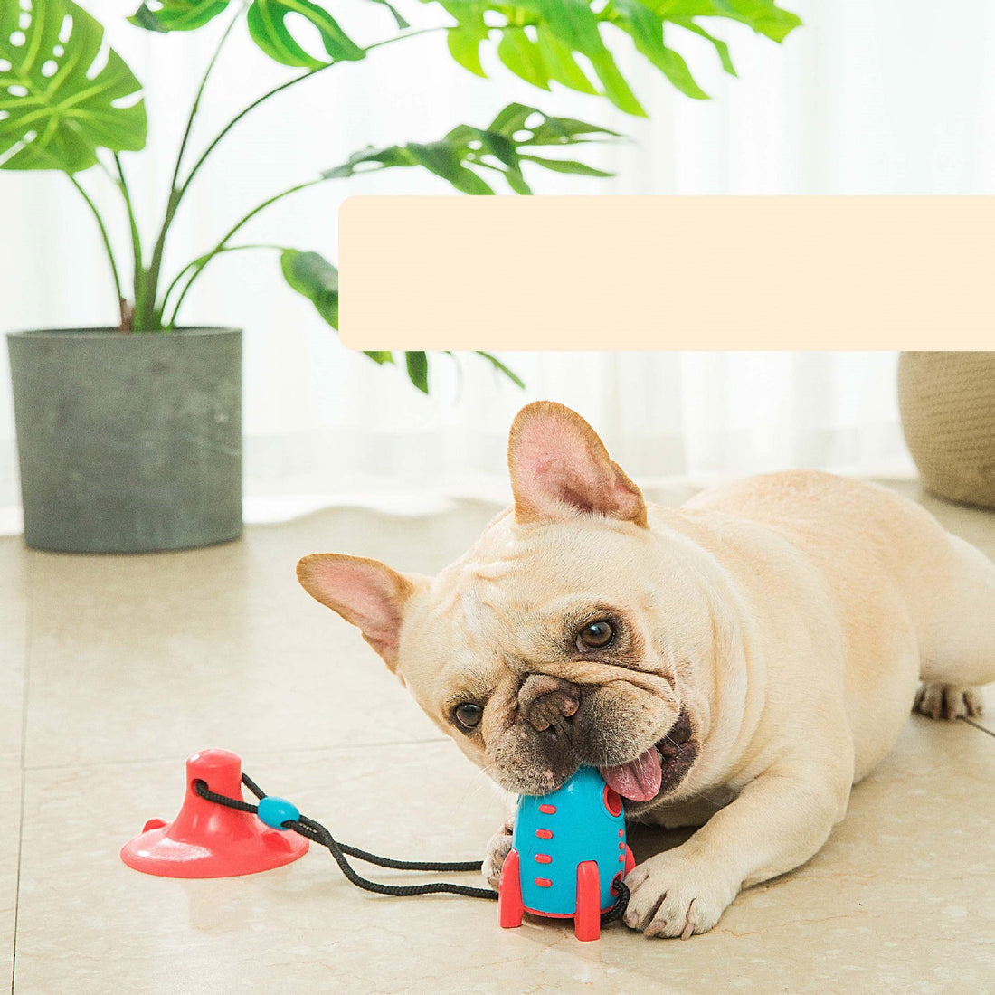 Rocket Shape Pet Food Dispensing Chew Toy Bite Resistant