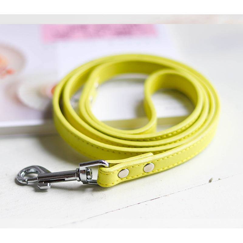 Pet Leash Collar Set For Secure Daily Walks