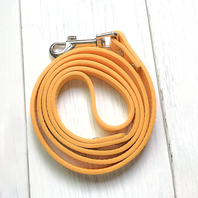 Pet Leash Collar Set For Secure Daily Walks