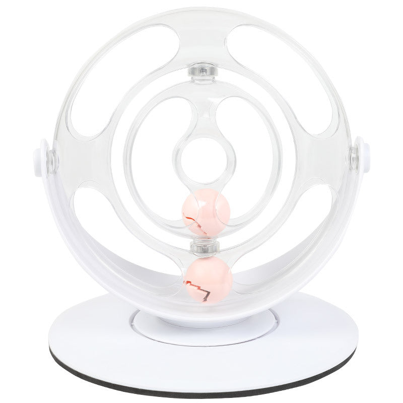 Interactive Educational Pet Turntable Toy