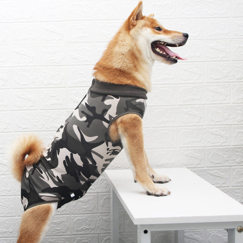 Multicolor Fashion Personality Pet Clothing Outfit