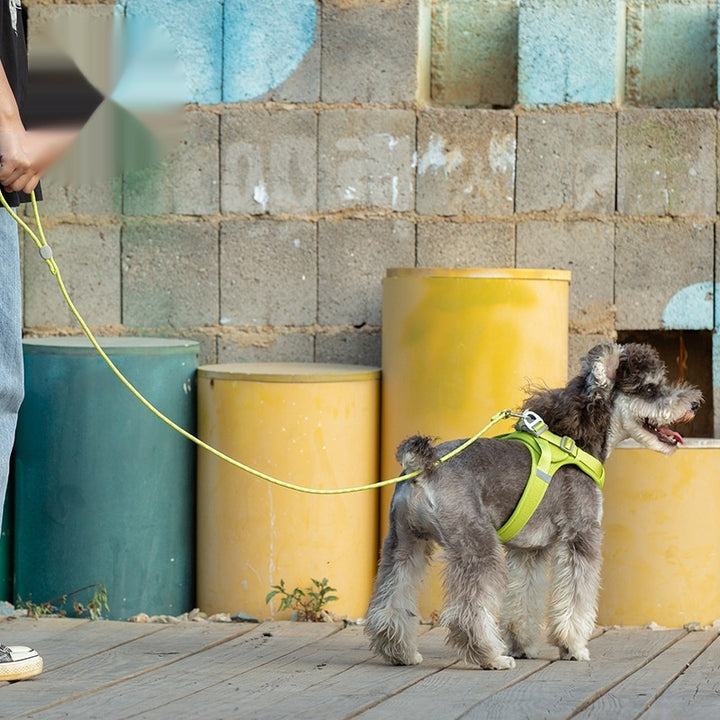 Colorful Adjustable Sliding Pet Leash Walking Lead