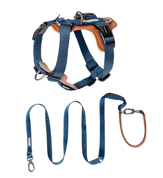 Multifunctional Pet Rope Leash With Chest Strap For Control