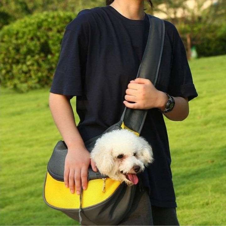Portable Pet Carrier Mesh Shoulder Travel Bag Tote