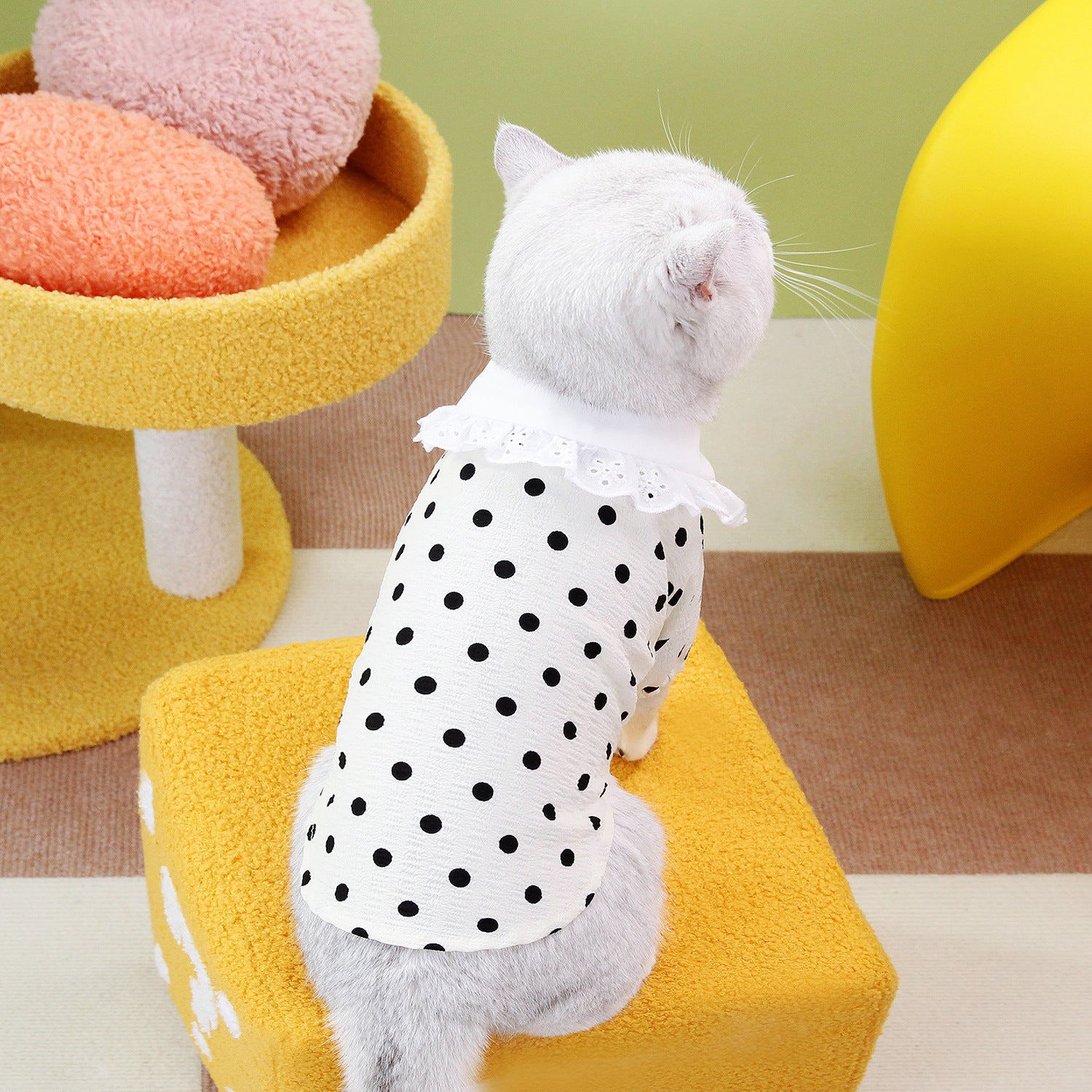 Blue Pet Ragdoll Style T Shirt Clothing