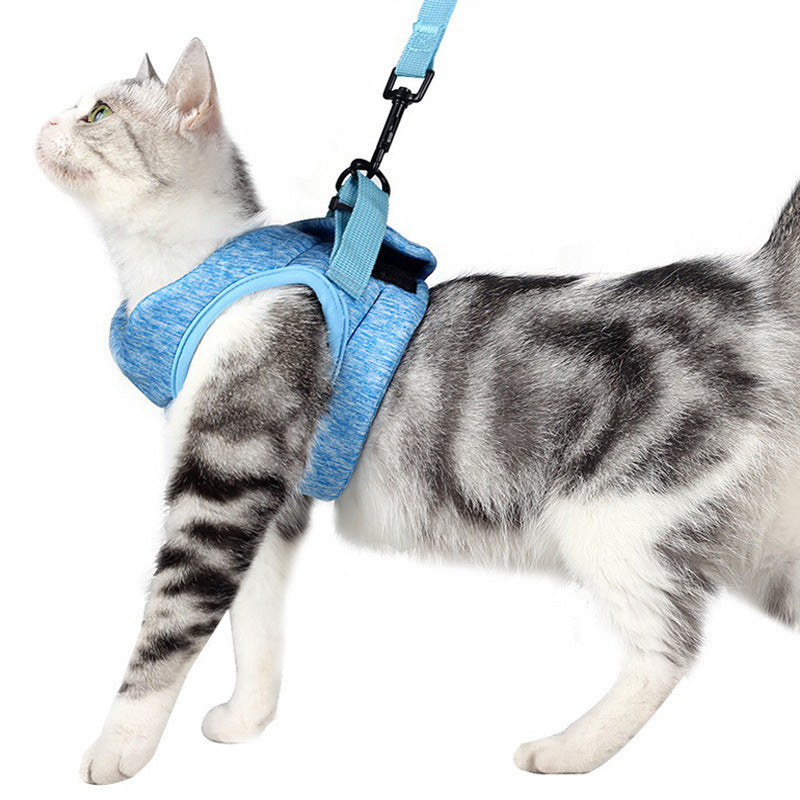 Breathable Lightweight Lace Pet Chest Strap Leash