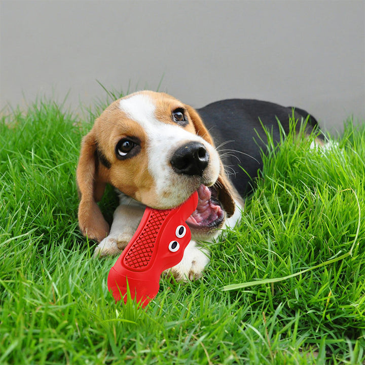 Vocal Rugby Shape Rubber Pet Chew And Teething Toy